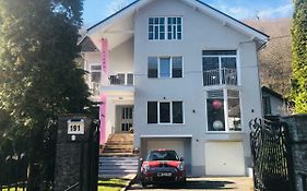 Luxury Modern Apartments